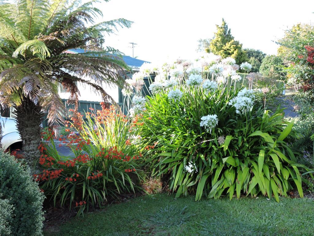 Maple Lodge Motel Matamata Buitenkant foto